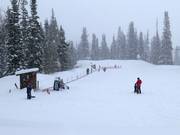 Förderband für Anfänger bei der Bergstation der Red Pine Gondola