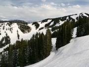 Blick auf die Pisten am Aspen Mountain
