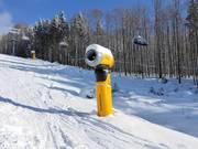 Eine der vielen leistungsfähigen Schneekanonen in Mitterdorf