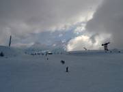 Breite und leichte Piste in Les Houches