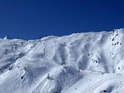 Blick auf das gesamte Face an der Langwiedbahn