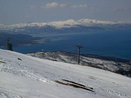 Narvikfjellet – Narvik