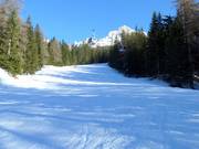 Talabfahrt Ochsenweide