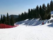 Piste 11 Kartola