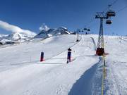 Rennstrecke/Skimovie am Sandigen Boden