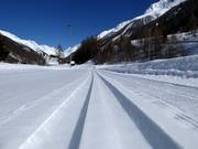 Loipe im Lötschental