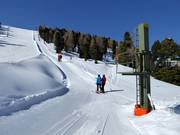 Seitensprunglift - Schlepplift mit T-Bügel/Anker