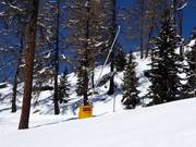 Lanzenbeschneiung an der Talabfahrt