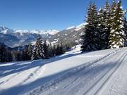 Panoramaloipe am Kristberg