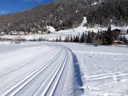 Höhenloipe in Sulden