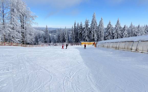 Skigebiete für Anfänger im Landkreis Freyung-Grafenau – Anfänger Mitterdorf – Almberg