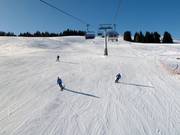Piste an der Sesselbahn Floralpina