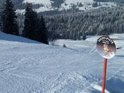 Steiler Einstieg in die Fuchs-Piste