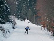 Gipfelloipe am Ochsenkopf