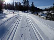 Loipe in Tandådalen