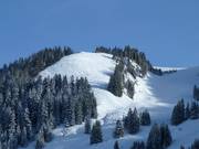 Freeridegelände am Aberg