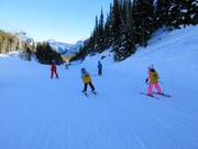 Kinderskikurs im Skigebiet Sunshine Village