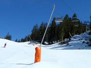 Schneilanze am Härmelekopf