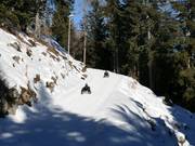 Tipp für die Kleinen  - Rodelbahn Rosskopf