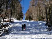 Hochberg Ost (Sonnenlift) - Schlepplift mit T-Bügel/Anker