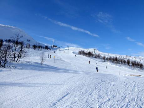 Pistenangebot Härjedalen – Pistenangebot Tänndalen