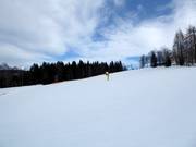 Abfahrt Birkenlift I und II