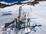 Zauberteppich (einer von zahlreichen im Skigebiet)