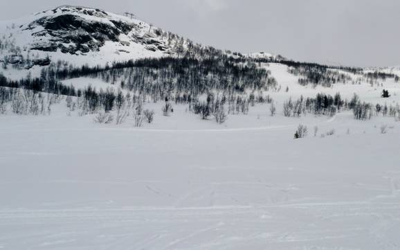 Skifahren bei Ryfoss
