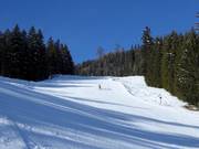 Die schwere Piste Reiterfeichte