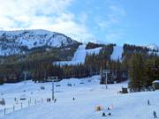 Blick von der Talstation auf das Skigebiet Marmot Basin