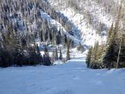 Schwere Buckelpiste auf der Rückseite