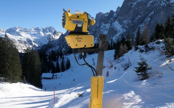 Schneesicherheit Dachstein-Salzkammergut – Schneesicherheit Dachstein West – Gosau/Russbach/Annaberg