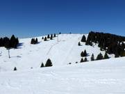 Blick auf die Piste Leite Nr. 23c