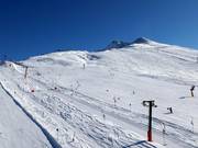 Blick auf die leichte Almwiese