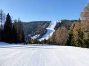 Blick auf die Piste Martinella Nord Nr. 10