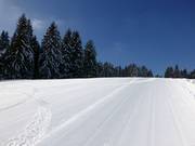 Bestens präparierte Pisten