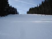 Piste Promenádní im oberen Teil