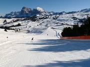 Piste an der Kombibahn Puflatsch