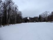 Leichte Piste South Road