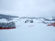 Blick von der Bergstation über den Sinswanger Skihang