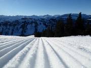 Präparierte Piste im Skigebiet Grasgehren