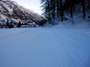 Die Loipen werden für klassische Technik und Skating gespurt