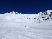 Blick von der Lauchernalp zum Hockenhorn