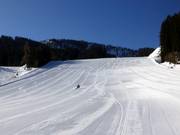 Optimal für junge Rennläufer