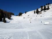 Leichte Piste Nr. 6 Paradiso