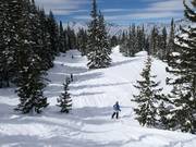 Durch die Wälder an der Sesselbahn Supreme