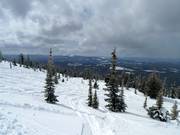 Tiefschneepisten in der Sun Rype Bowl