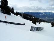 Habitat & Cougar Terrain Park (Whistler Mountain)