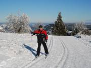 Spuren auf dem Ettelsberg