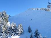 Freeridegelände an der Weinbergbahn